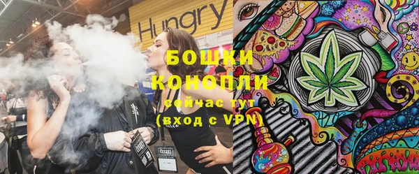 прущие грибы Богородск