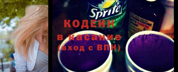 крисы Бородино