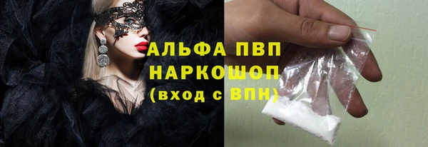 индика Бугульма