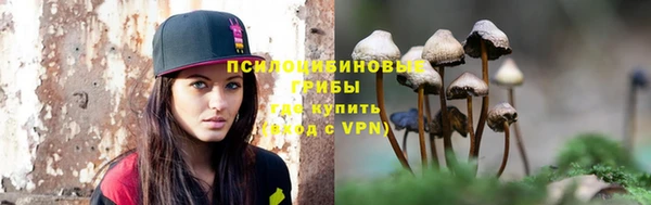 ALPHA PVP Богданович