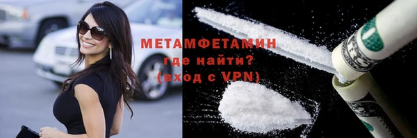 прущие грибы Богородск