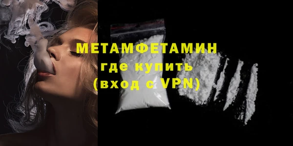 прущие грибы Богородск