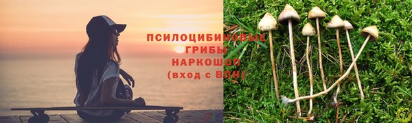 ALPHA PVP Богданович