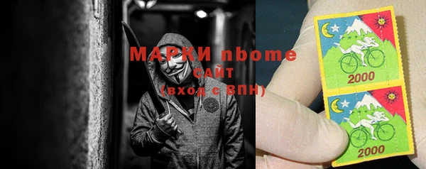 прущие грибы Богородск