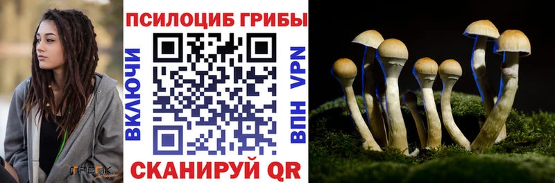 Галлюциногенные грибы мицелий Купить Грайворон