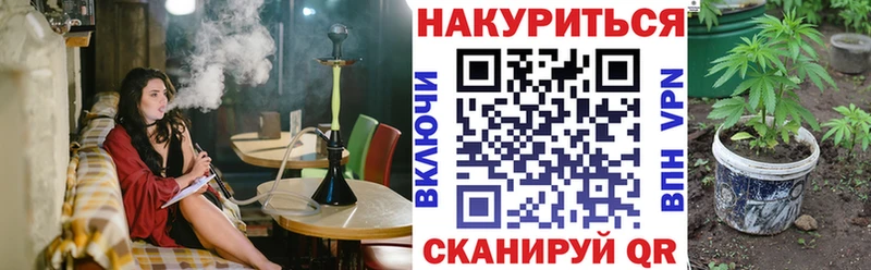 Купить где  Грайворон  Конопля марихуана 